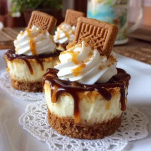 mini biscoff cheesecakes with biscoff drizzle and cookie crumbs